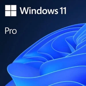 Операционная система Microsoft Windows 11 Pro 64Bit Eng Intl 1pk DSP OEI DVD FQC-10528 Windows 11