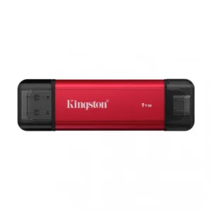 USB флешка (Flash) Kingston SPSD/1TB 1 ТБ