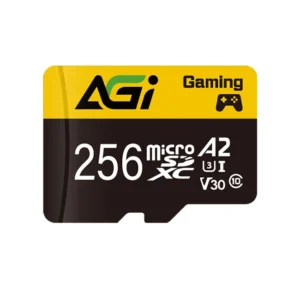 Флеш (Flash) карты ELP Imaging AGI256GGSTF138-R2 256 ГБ