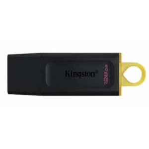 USB флешка (Flash) Kingston DTX/128GB2 128 ГБ