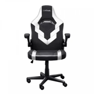 Компьютерный стул Trust GXT703W Riye 25130