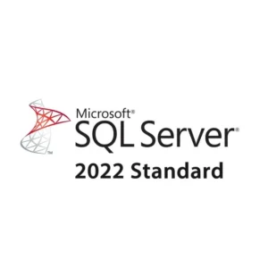Система управления базами данных СУБД Microsoft SQL Server 2022 Standard Edition DG7GMGF0M80J:0002