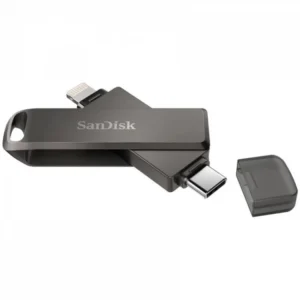 USB флешка (Flash) SanDisk SDIX70N SDIX70N-256G-GN6NE 256 ГБ