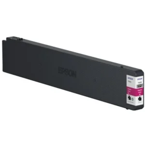 Струйный картридж Epson C13T887300