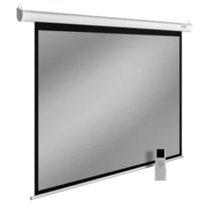 Проекционный экран Cactus CS-PSSME-220X138-WT
